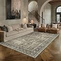 PureCozy Brown Area Rug 6x9 Vintage Traditional Distressed