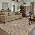 PureCozy Brown Area Rug 6x9 Vintage Retro Distressed