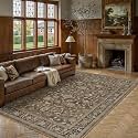 PureCozy Brown Area Rug 6x9 Vintage Floral Distressed
