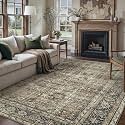 PureCozy Brown Area Rug 7x10 Vintage Traditional Distressed