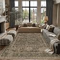 PureCozy Brown Area Rug 8x10 Vintage Oriental Distressed