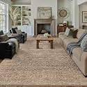 PureCozy Brown Area Rug 9x12 Vintage Retro Distressed