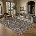PureCozy Brown Blue Area Rug 5x7 Vintage Floral Distressed