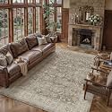 PureCozy Brown Gray Area Rug 6x9 Vintage Floral Distressed