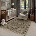 PureCozy Brown Small Area Rug 3x5 Vintage Oriental Distressed