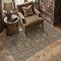 PureCozy Brown Small Area Rug 3x5 Vintage Floral Distressed