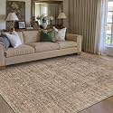 PureCozy Brown Small Area Rug 4x5 Vintage Retro Distressed