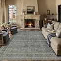 PureCozy Grey Brown Area Rug 5x7 Vintage Traditional Distressed