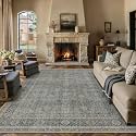 PureCozy Grey Brown Area Rug 6x9 Vintage Traditional Distressed