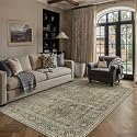 PureCozy Light Brown Area Rug 5x7 Vintage Traditional Distressed