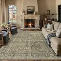 PureCozy Light Brown Area Rug 6x9 Vintage Traditional Distressed