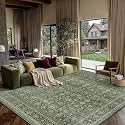 PureCozy Sage Green Area Rug 6x9 Vintage Traditional Accent
