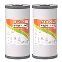 PUREPLUS 10" x 4.5" Whole House Heavy Metal Reduction Water Filter,2 PACK