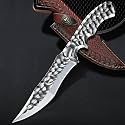 Purple Dragon VG10 Full Tang Fixed Blade Survival Knife with Leather Sheath