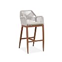 PURPLE LEAF 1 Piece Bar Height Stool with Cushion, Back and Arms, Deep Teak