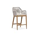 PURPLE LEAF 1 Piece Counter Height Bar Stool with Arms and Cushion, Teak