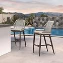 PURPLE LEAF Bar Height Stools Set of 2, Taupe Sunbrella Cushion, Brown
