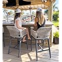 PURPLE LEAF Bar Height Stools Set of 2 with Arms, Back &amp; Cushion, Dark Grey