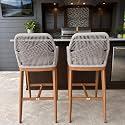 PURPLE LEAF Bar Height Stools Set of 2 with Arms, Back &amp; Cushion, Deep Teak