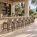 PURPLE LEAF Counter Height Bar Stools Set of 2, Taupe Cushion, Brown