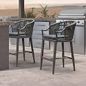 PURPLE LEAF Counter Height Bar Stools Set of 2 Ergonomic Back, Smoke Grey