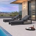 PURPLE LEAF Outdoor Chaise Lounge Set of 2 with Cushion &amp; Armrests,Grey