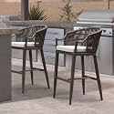 PURPLE LEAF Patio Bar Height Stools Set of 2 with Cushion, Coffee