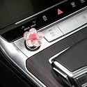 Push to Start Button Cover，Bling Car Accessories for Women，Kawaii car Accessories，Engine Start/Stop Resin Flower Starter Cover,Pink Car Accessories,Car Decor for Women (Transparent Pink)