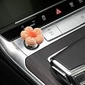 Push to Start Button Cover，Engine Start/Stop Resin Flower Starter Cover (for Decorative Accessories) (Orange)