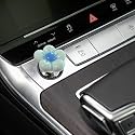 Push to Start Button Cover，Engine Start/Stop Resin Flower Starter Cover (for Decorative Accessories) (Blue)