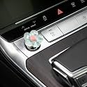 Push to Start Button Cover，Engine Start/Stop Resin Flower Starter Cover (for Decorative Accessories) Car Decor for Women (Transparent Blue)