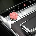 Push to Start Button Cover，Engine Start/Stop Resin Flower Starter Cover (for Decorative Accessories) (Watermelon red)