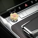 Push to Start Button Cover，Engine Start/Stop Resin Flower Starter Cover (for Decorative Accessories) (Beige)