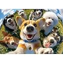 Puzzles for Adults 1000 Pieces - Dog Selfie, Pup Selfie Fiesta Adults Puzzles Lawn Dogs Park, Letter on Back No Dust, Matte Finish Funny Puppies Jigsaw Puzzles Home Decor, 27.5" x 19.7" Gifts Games