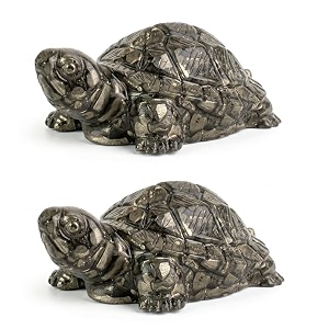 Pyrite Tortoise Kachhua 2.7 Inch Certified