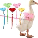 QBLEEV Pet Cole Duck Outside Walking Harness Leash with Cute Wings