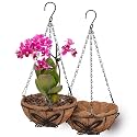 QCQHDU 2 Pack 10 inch Hanging Orchid Baskets for Plants Outdoor, Hanging Orchid Planter Basket with Coco Liners, Orchid Pots with Holes for Garden, Patio, Deck, Porch Plants(Butterfly)