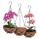 QCQHDU 3 Pack 10 inch Hanging Orchid Baskets for Plants Outdoor, Hanging Orchid Planter Basket with Coco Liners, Orchid Pots with Holes for Garden, Patio, Deck, Porch Plants(Butterfly)