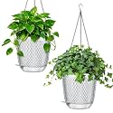QCQHDU 7.2 Inch Self Watering Hanging Planters for Indoor Outdoor Plants,2 Pack Flower Pots Hanging Basket,Plastic Plant Hanger with Drainage Holes and 3 Hooks for Window Porch Garden Balcony, (Clear)