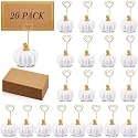 Qeeenar 40 Pcs Thanksgiving Pumpkin Place Card Holder with Fall Cards White