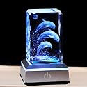 Qianwei 3D Crystal Ball Dolphin Gifts for Women Men, Laser Etched Dolphin Decor Glass Figurines Statue Stuff for Room Decorations Birthday Christmas Gifts for Lovers Keepsake Paperweight