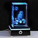 Qianwei 3D Crystal Owl Figurines &amp; Gifts for Owl Lovers - Home Decorations, Keepsake &amp; Paperweight
