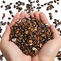 QICQDRAM Polished Gem Stones Rocks Tiger's Eye Crystals Chips Natural 1LB