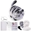 QMNNMA Needle Felting Starter Kit, Maine Coon Needle Felting Set