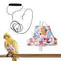 Qpets Bird Harness & Leash Set, Adjustable Escape-Proof for Parrots - L