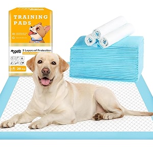 qpets pee pads for dogs dog pee pads fast absorption pet puppy training changing pads skin-friendly dog pee mats non-woven potty training pet mat for small amp medium amp large dogs 20count 6090cm