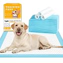 Qpets® Pee Pads for Dogs, Dog Pee Pads Fast Absorption Pet Puppy Training Changing Pads, Skin-Friendly Dog Pee Mats Non-Woven Potty Training Pet Mat for Small & Medium & Large Dogs (20Count, 60*90CM)