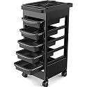 Budget Hair Styling Salon Trolley Cart with Wheels and 5 Drawers, Salon Rolling Cart for Extra Hairdresser Storage, Tool Free Rolling Salon Cart for Hair Stylist, Hairdresser, Beauty, Tattoo