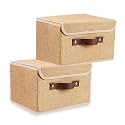 QUAIL Non-Woven Foldable Large Jute Print Storage Box with Lids & Handles – Collapsible Storage Bin for Organizing Toys, Clothes, and Books (Beige, Pack of 2)