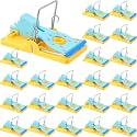 Qualirey 24 Pcs Mouse Traps Bulk Plastic Snap Rat Trap Reusable, Fast Kill